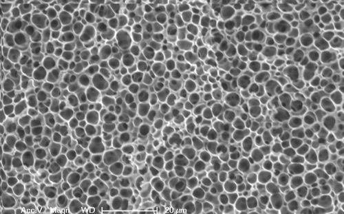 Scanning Electron Micrograph of Porous Structure of PVA-based Hydrogel Scanning Electron Micrograph of Porous Structure of PVA-based Hydrogel