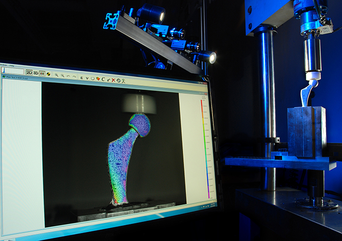 hip joint_dic-Lucideon-web