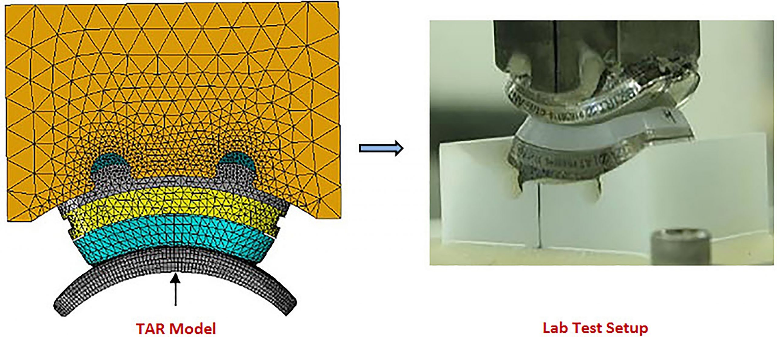 Figure2 notsohighres