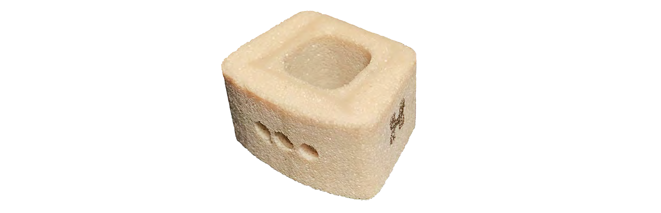 HAPPE Spine Implant