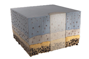 Canary Medical reduced