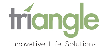 Triangle Logo