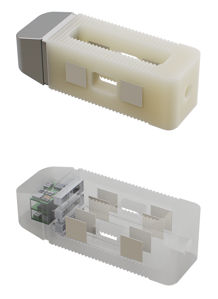 Integrity Implants Spine Device