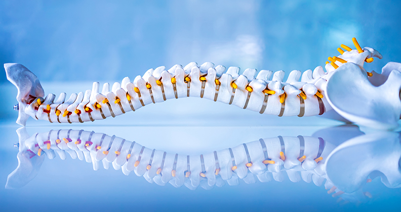 implants and orthobiologics for spine