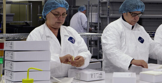 Staff members working at an orthopedic packaging firm