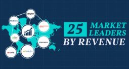 A breakdown of the industry's leaders in worldwide sales and the percentage of earnings captured from their leading segments.
