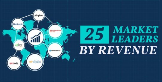 A breakdown of the industry's leaders in worldwide sales and the percentage of earnings captured from their leading segments.