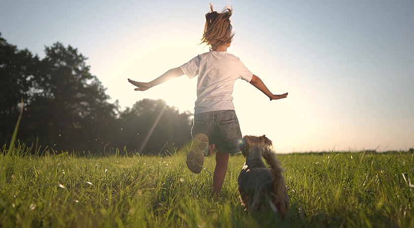 OrthoPediatrics Launches 3P Pediatric Plating Platform Hip System