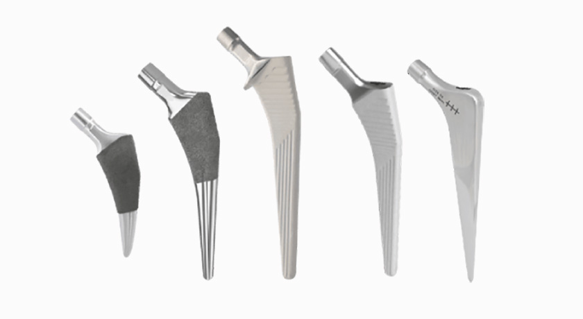Maxx Orthopedics Libertas Hip Portfolio