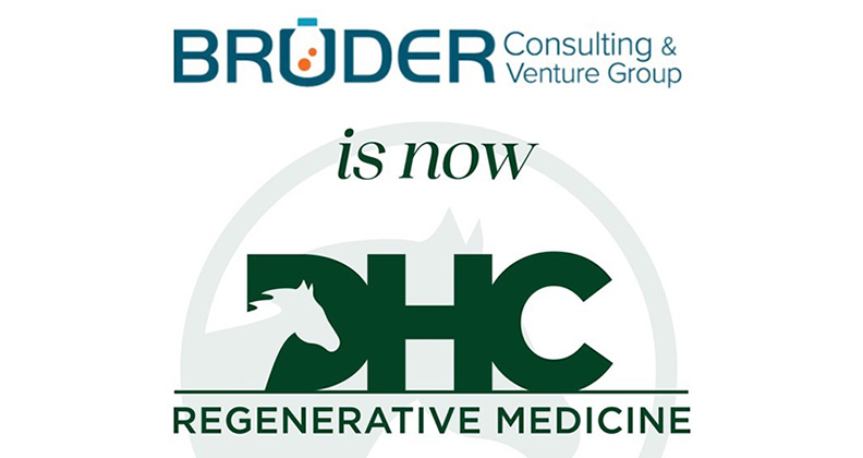 Bruder Consulting
