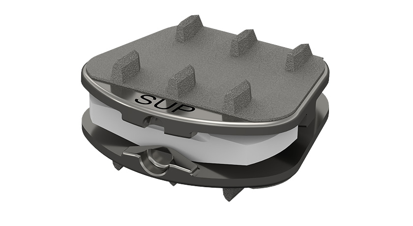 Synergy Spine Synergy Cervical Disc